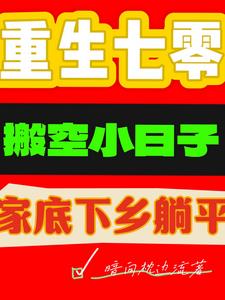 重生七零搬空小日子家底下乡躺平